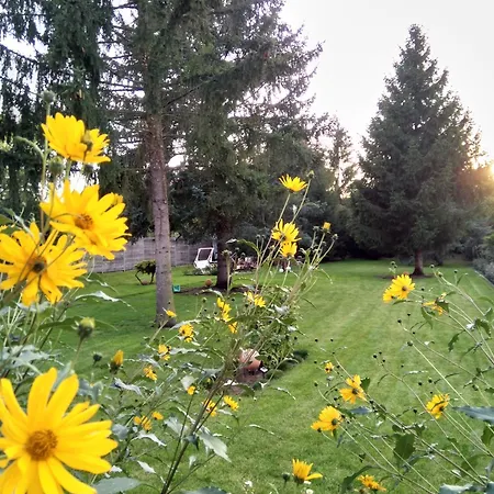 2 Zimmer-apartment 72 Qm Bei Berlin * Velten