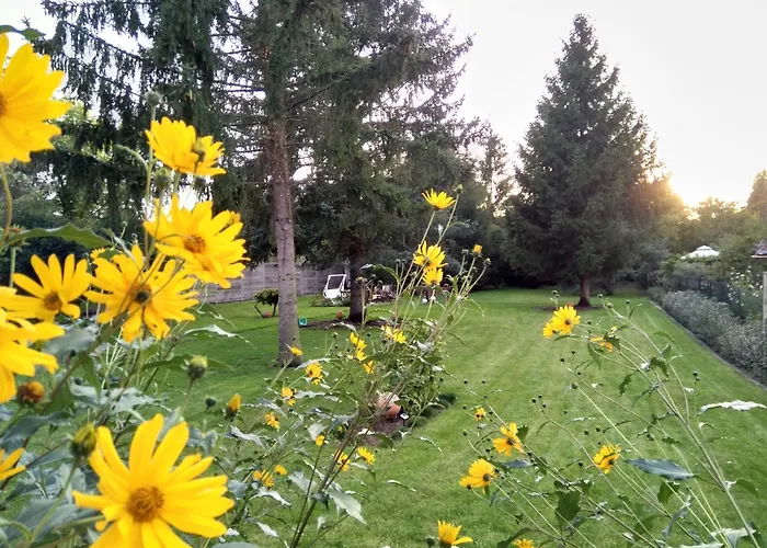 2 Zimmer-apartment 72 Qm Bei Berlin * فيلتين